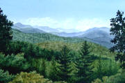 Penny Johnson watercolor paintings