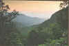 NC Land for sale South Cliff.jpg (29377 bytes)