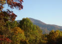 Sylva cabin rental - Fall view from dining room window